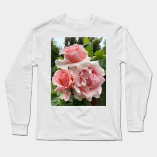 David Austin Pink Roses Long Sleeve T-Shirt